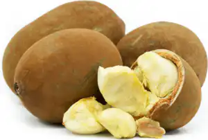 Cupuaçu fruit rich in antioxidants linked to cancer prevention