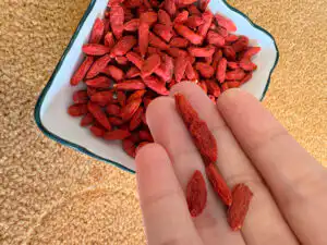 Goji berries rich in antioxidants linked to cancer prevention